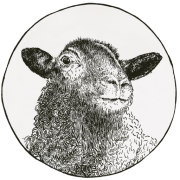 Mouton Noir Westmount