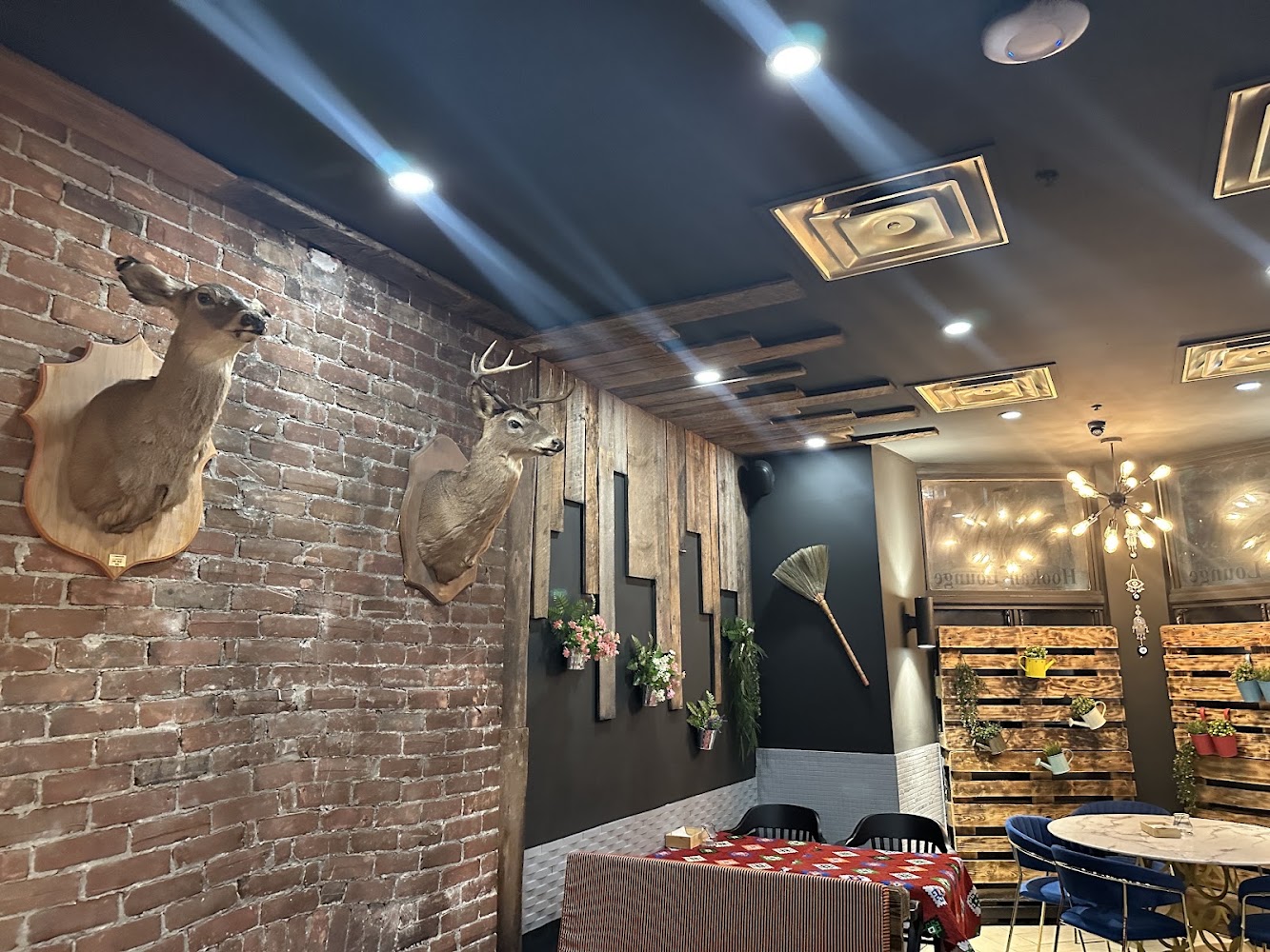Cafe Abu El Zulof